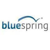 Bluespring Software Inc