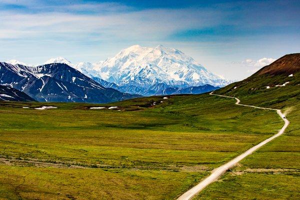 Denali National Park Wildlife Viewing