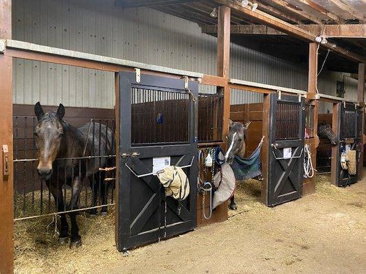 Full-board, partial-board, pasture board in Illinois