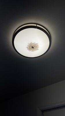 Dead bugs in light fixtures.