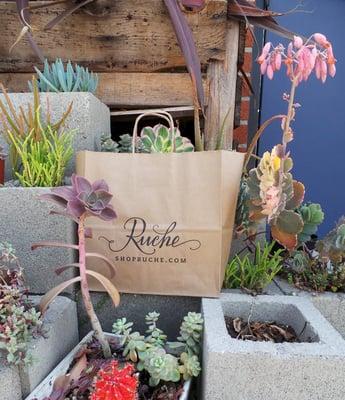 I think the employees at Ruche have a major love for succulents - they're everywhere!! I couldn't resist taking a photo!