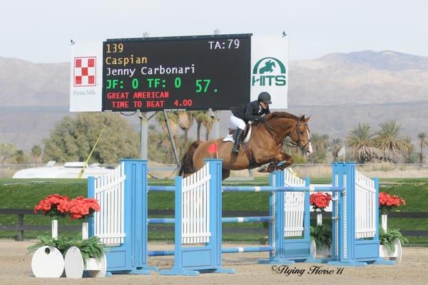 Northern Lights Show Jumping