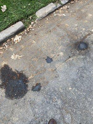 This photo was taken the day after Speedgate Enterprise sold me my vehicle, showing the extent of the oil and coolant leak.