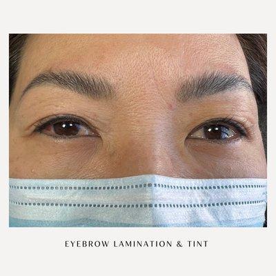 Eyebrow Lamination and Tint