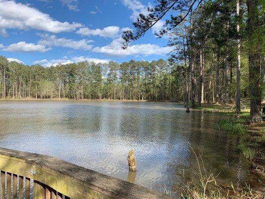 Lake and trail in the woods.