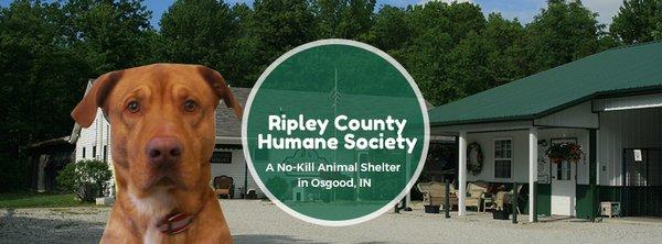 Ripley County Humane Society