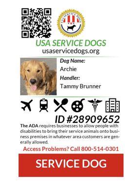 Service Dog identification. He is a 2 year old big puppy that has saved me many times.