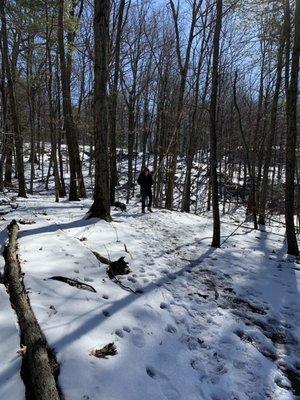 Shaupeneak Ridge Park