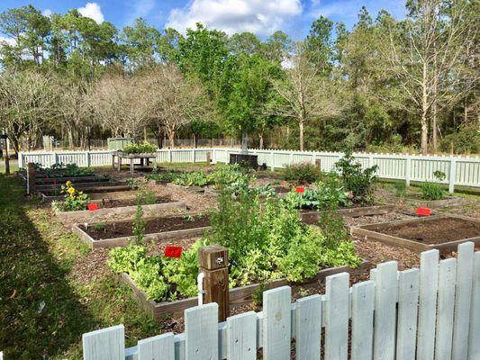 Community Garden