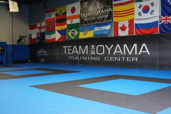 Grappling area