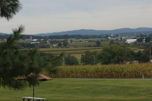 View from the top of the drive