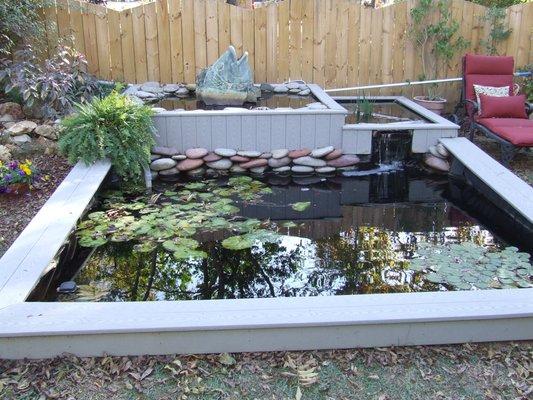 Koi Pond