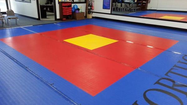 Notice the bright, clean colors on the mats after our cleaning process! Dries within minutes leaving the mats clean and odor ...