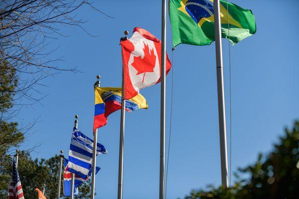 Our flag display represents our diverse community and we are proud to educate 34 zip codes, 38% students of color, and 21 nationalities.