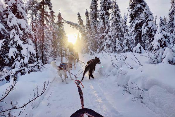 Alaska's Trail King Adventures