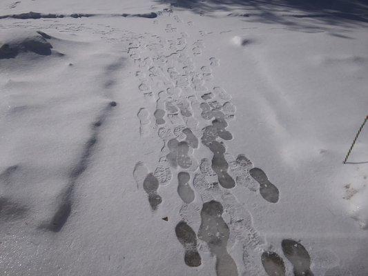 Pathway with Ice under snow that I fell on.