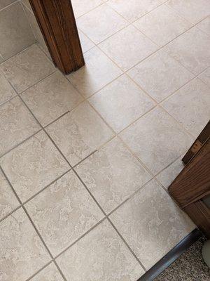 Can't seem to get that grout looking clean? Badger Carpet Care can get your tile & grout looking like new keep it protected.