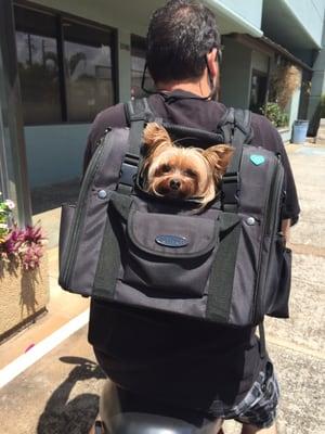 Backpack-o-pet bag!