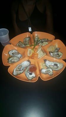 OYSTERS