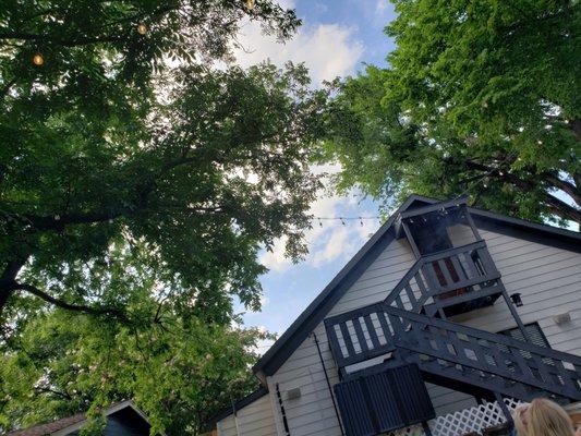 Pecan trees surround the back space