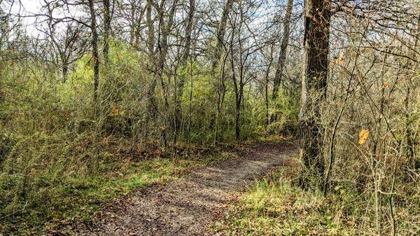 Walking trail