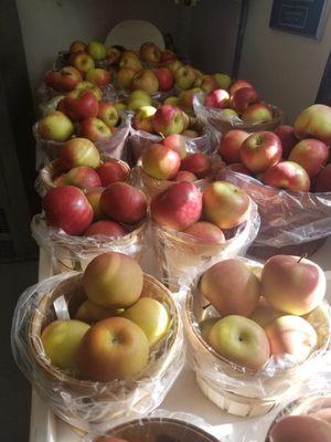 Apples galore