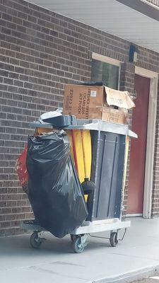 "Cleaning" cart with no actual clorox or anything