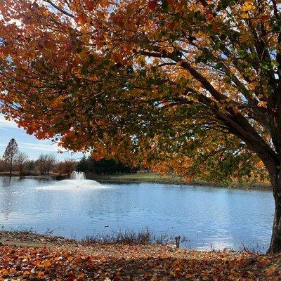 Our fountain and pond always make for a peaceful view