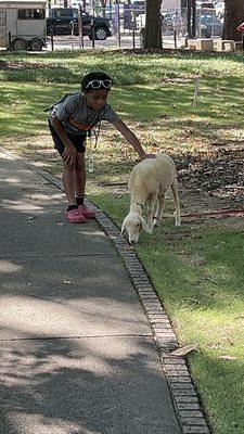 Petting zoo area