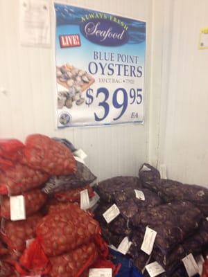 Variety of fresh clams, mussels, oysters