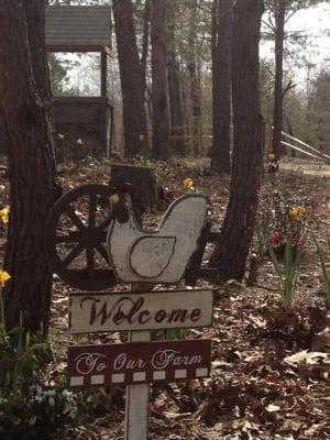 Lockhart Family Farm