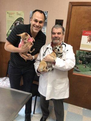 My Chihuahuas love Dr. Jimmy kox