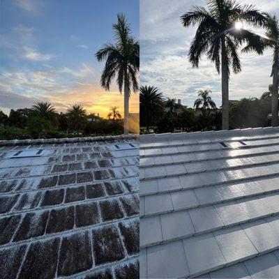 Before and after soft washing of tile roof