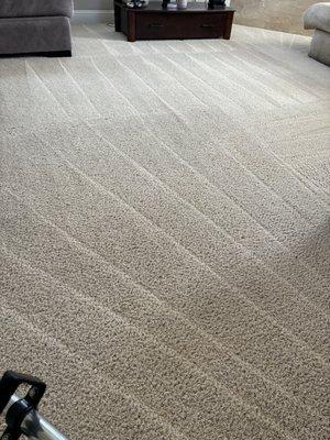 Carpet cleaning