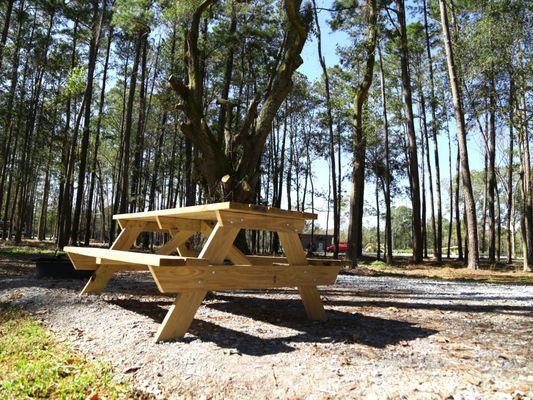 Each camp site contains a picnic table and fire pit.