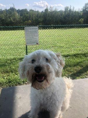 This boy loves the park!