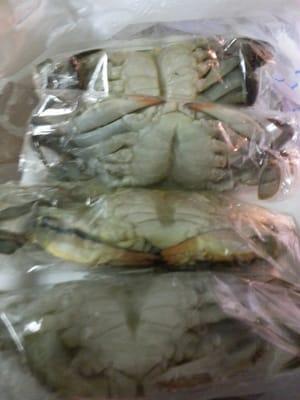 5 soft shell crabs for $10