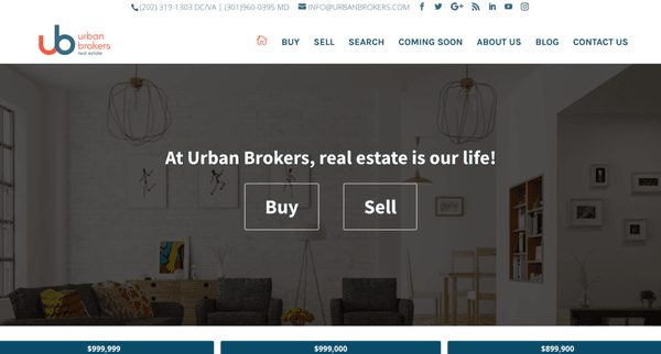 Ask the Egghead - Completed Client Site - Urban Brokers