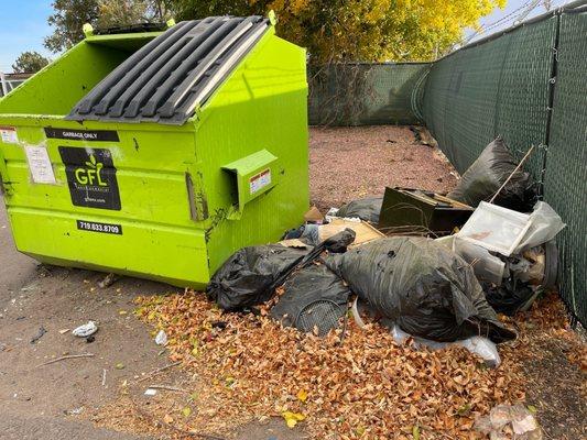 Trash next to an EMPTY dumpster. Property manager Ashley doesn't do anything about it because she does not have a maintenance employee.