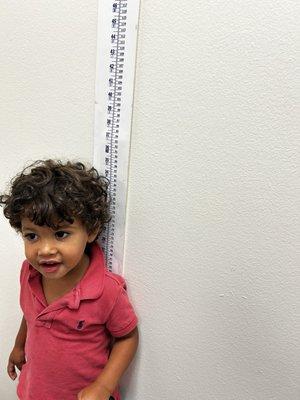 Baby boy checking height.