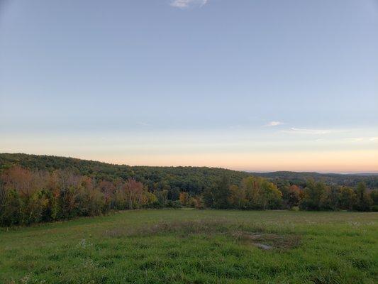 View from the top of the hill