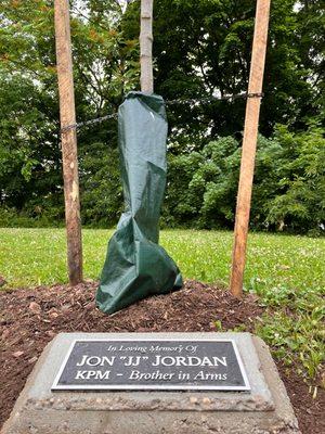 Memorial Tree and Plaque - in honor of an incredible artist (and all around decent person) that called Kearny his home...