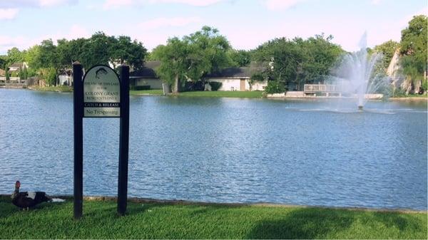 Fountain in the lake