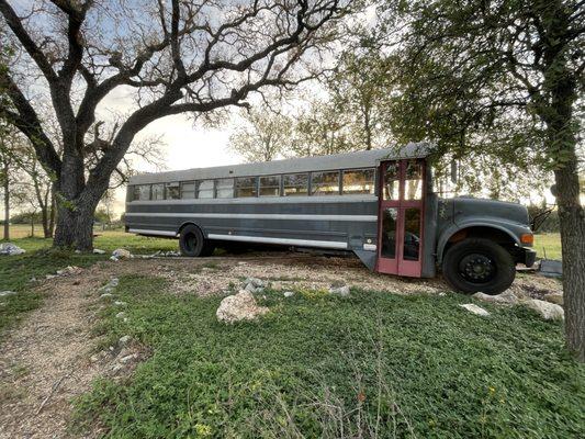 The Bluebonnet Skoolie bus for rental in the Texas Hill Country.