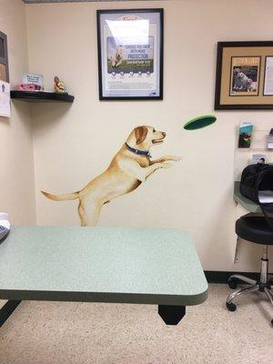 Fox Valley Veterinary Service