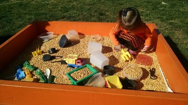 Corn sand box