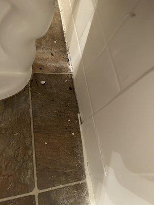 This is the bathroom that the leasing agent told me it was cleaned.  I had to clean it myself.