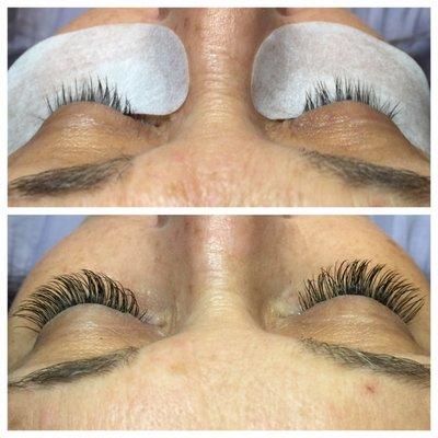 Lashes by ally at Salon Avanti