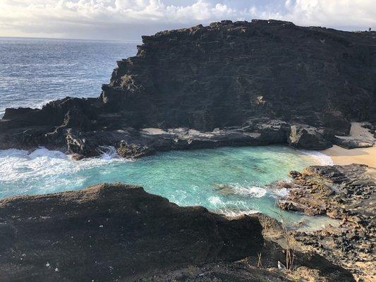 Halona Beach Cove (turtle sighting)