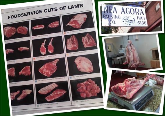 New Agora fresh lamb